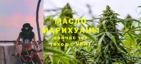 индика Рославль
