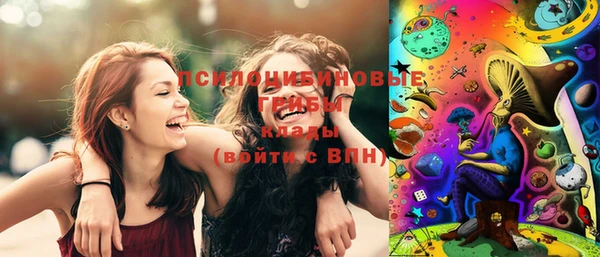 мдпв Арсеньев